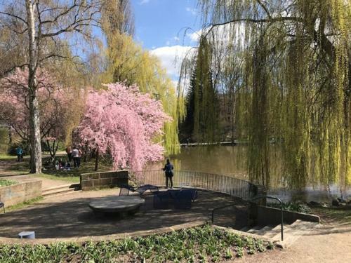 Ferienhaus Am Park Am R�hrensee