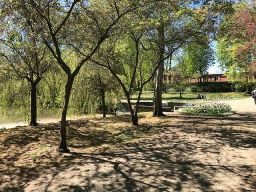 Ferienhaus Am Park Am R�hrensee
