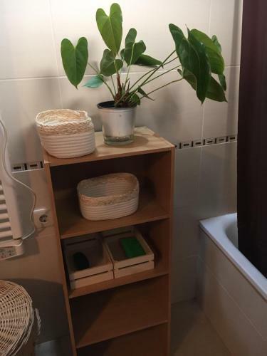 Apartamento Casa Do Tuga