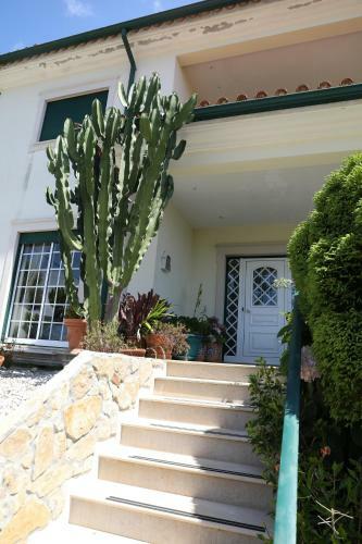 Casa Da Av� Bela