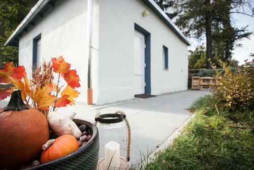 Apartamento East Box 40a - Ferienhaus In Modern Art