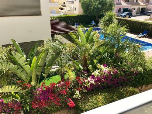 Apartamento Casa Afonso Henriques