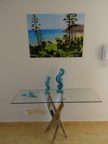 Apartamento Casa Afonso Henriques
