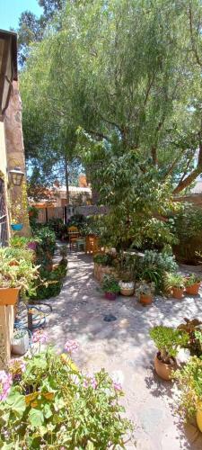 Bed & Breakfast Apartamento En El Vivero