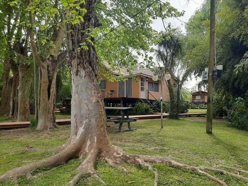 Caba�a En El Delta De Tigre