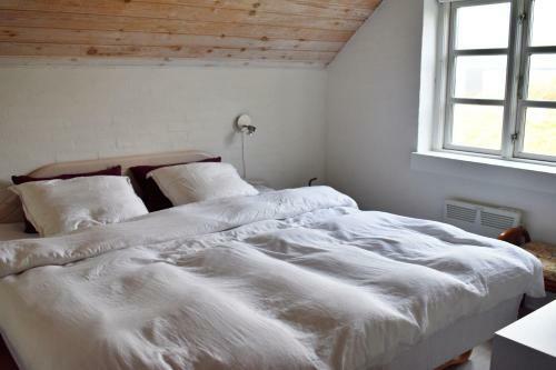 Viking Surf Cottage