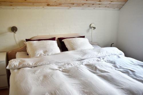 Viking Surf Cottage