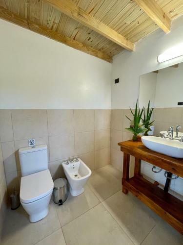 Eco Caba�a R�o - Caba�a Mirador
