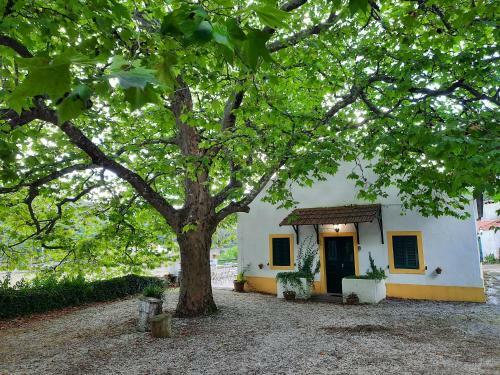 Montejunto Villas - Casa Do Pl�tano