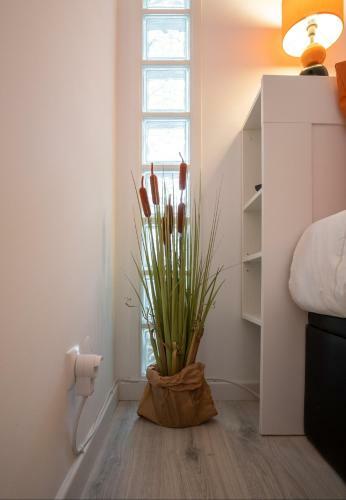 Apartamento Foz - West Shore Retreat