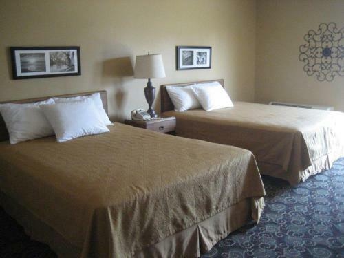 Hotel Pine View Resort