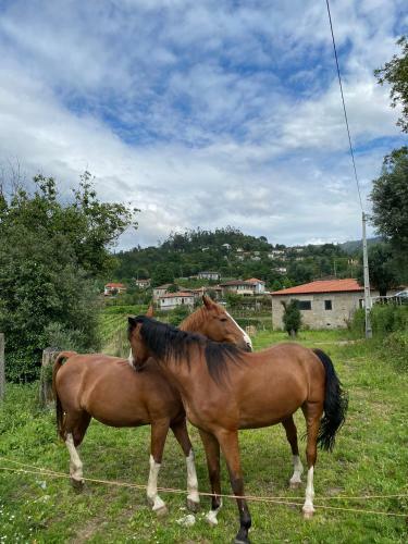 Agroturismo Mariana's Heartmade House