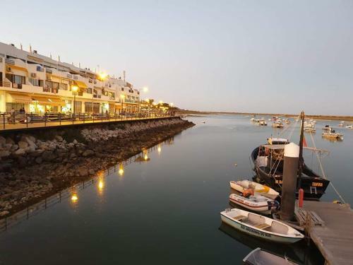 Apartamento Alta Da Ria House