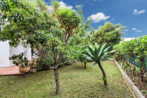 Typical Algarvian Family Home