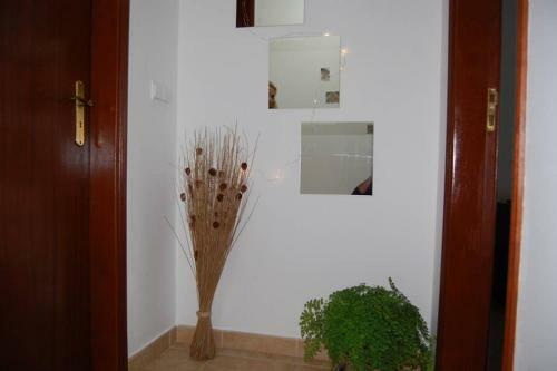 Apartamento Paradise In Cabanas De Tavira
