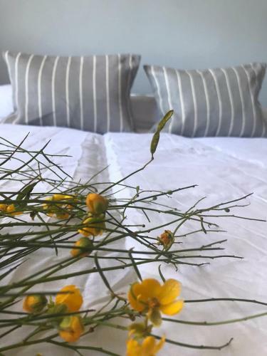 Apartamento Los Mochuelos Traslasierra