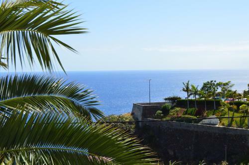 Apartment With Sea View In C�mara De Lobos