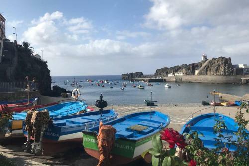 Ammy?s House