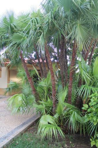 Vila Da Praia