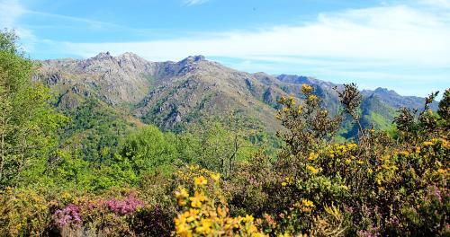 Casa Natura Ger�s