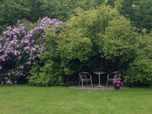 Bed & Breakfast Murermester Madsens Villa