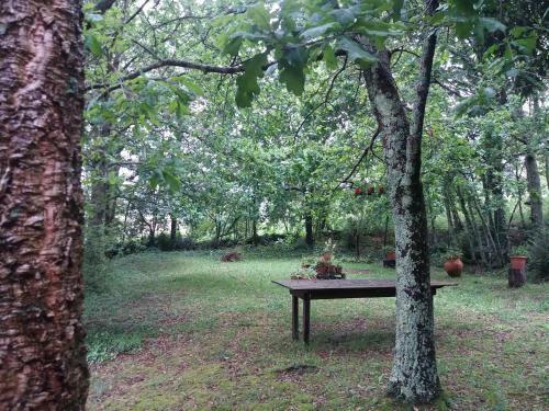 Villa Casa Da Ru�na - Lush Garden With Pool