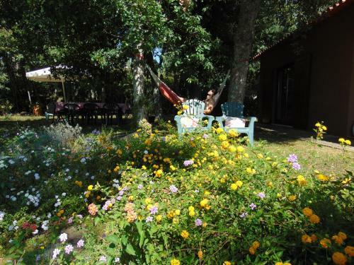 Villa Casa Da Ru�na - Lush Garden With Pool