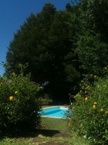 Villa Casa Da Ru�na - Lush Garden With Pool