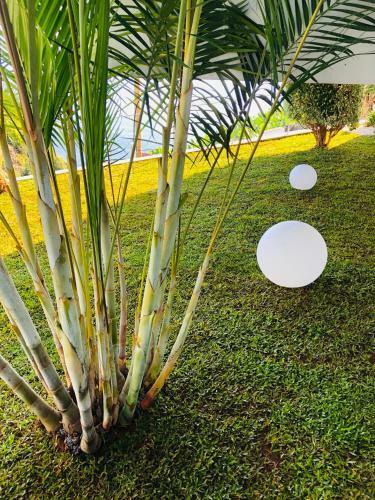 Villa Vista Azul
