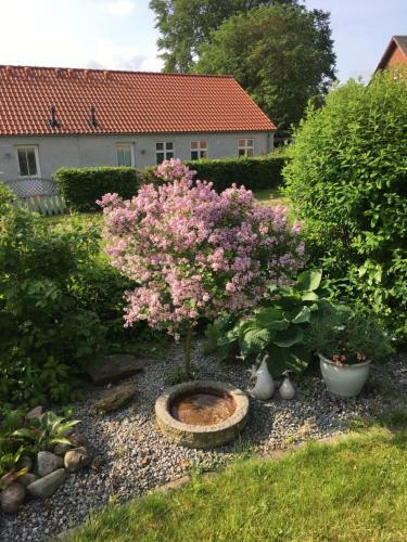 Anneks Til Bondehus