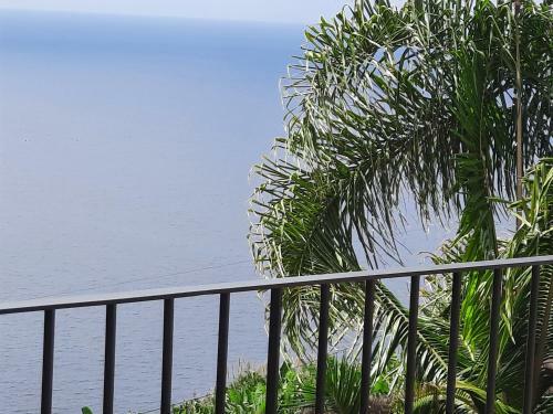 Apartamento Zeza�s Sky