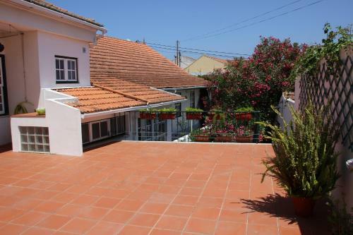 Patio Canelas