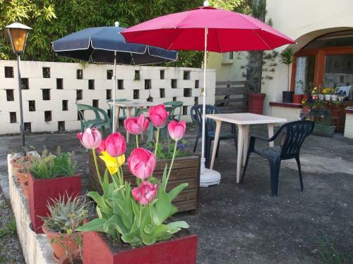Bed & Breakfast Le Casquille
