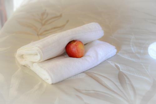Hotel H�tel Le Dauphin