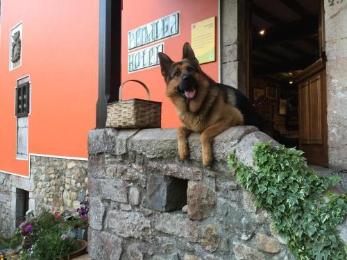 Hotel Pe�alba