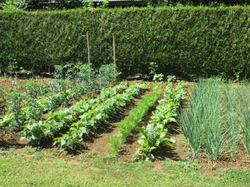 Bed & Breakfast Les Quatre Saisons