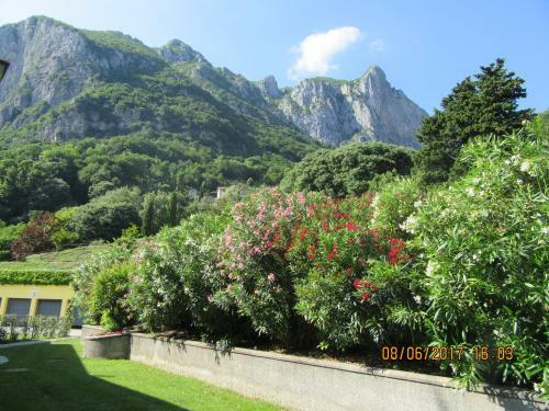B&B Montebello