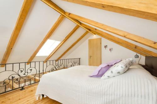 Apartments Vica
