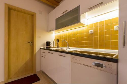Apartments Vica