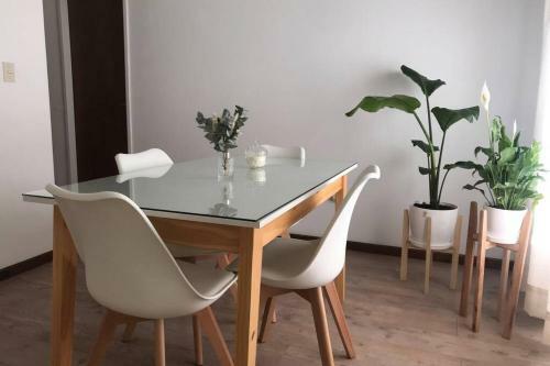 Apartamento Departamento C�ntrico- Tandil