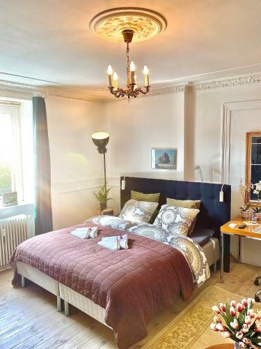 Four Individual Beautiful Spacious Rooms In Stylish Apartment