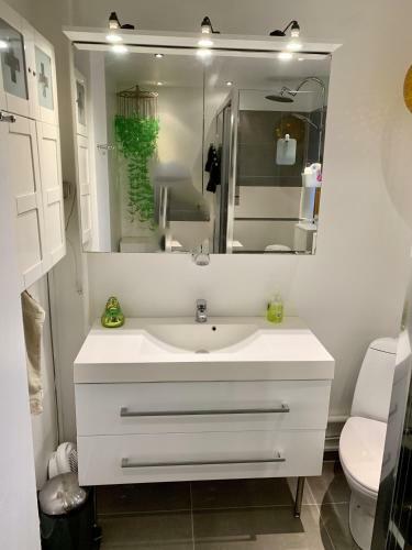 Four Individual Beautiful Spacious Rooms In Stylish Apartment