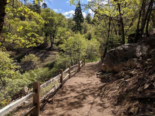 Escape To Your Mountain Home,