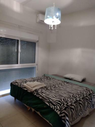 Apartamento Doral 5