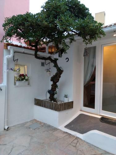Hostal Home & Away Studio By Cris