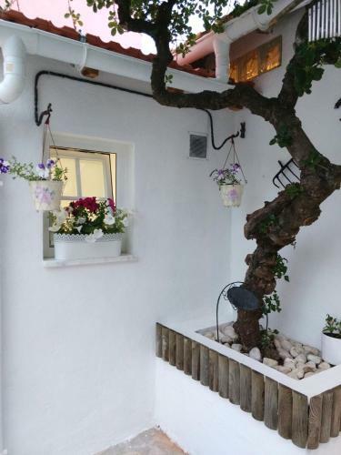 Hostal Home & Away Studio By Cris
