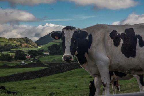 Quinta Do Norte