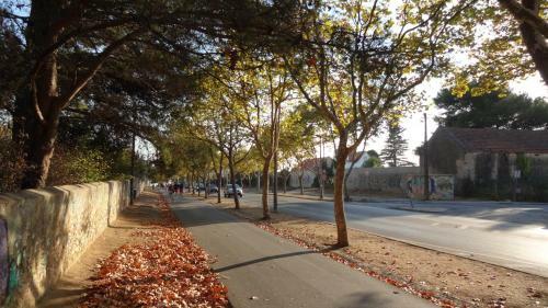 Apartamento Sweet Spot @ Carcavelos - T1