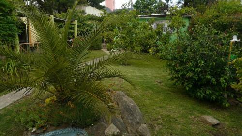 El Jardin De Nora