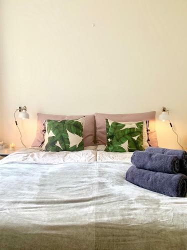 Cute Pug Guesthouse